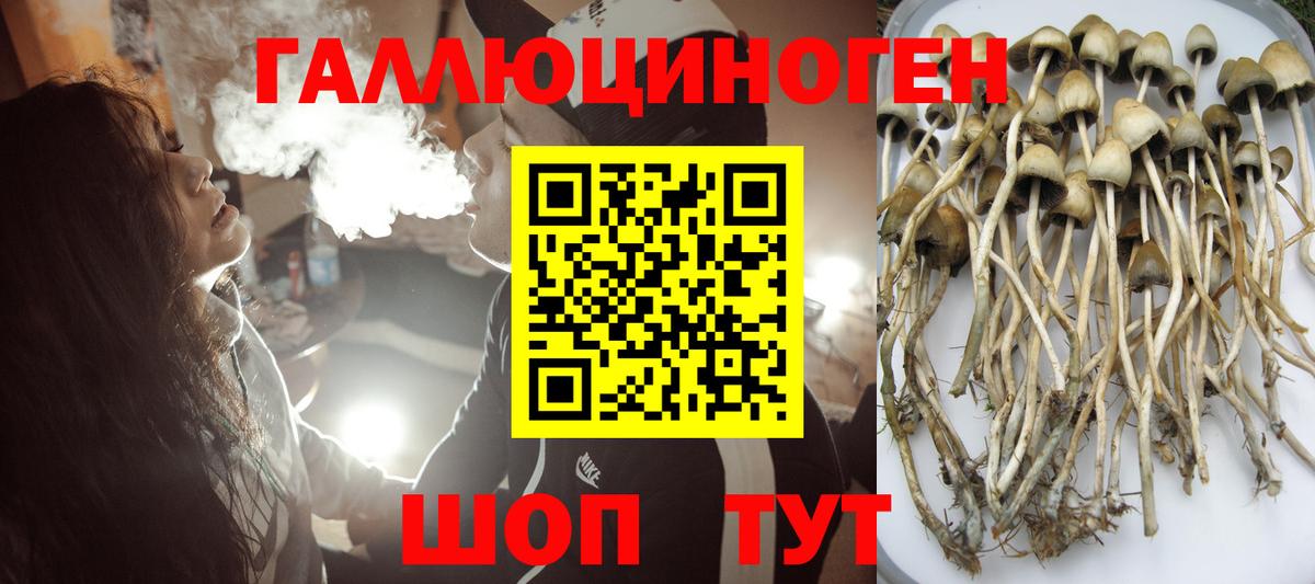 Галлюциногенные грибы прущие грибы  Вход с VPN  Псилоцибиновые грибы прущие грибы  наркота  Норильск 